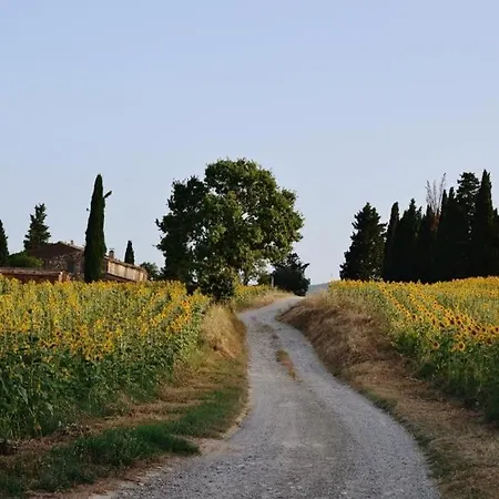 Il Pomerio - With Pool & Panoramic View Holiday home