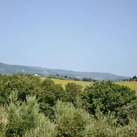 Holiday home Il Pomerio - With Pool & Panoramic View